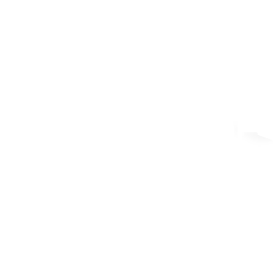 Няма изображение